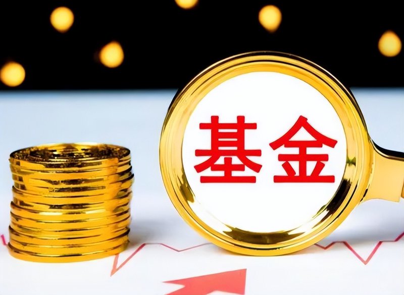 在快速发展的科技时代，科技金融控股公司正以前所未有的速度改变着金融市场格局。它们如何运作？又为何受到广泛关注呢？让我们通过几个案例来一探究竟。